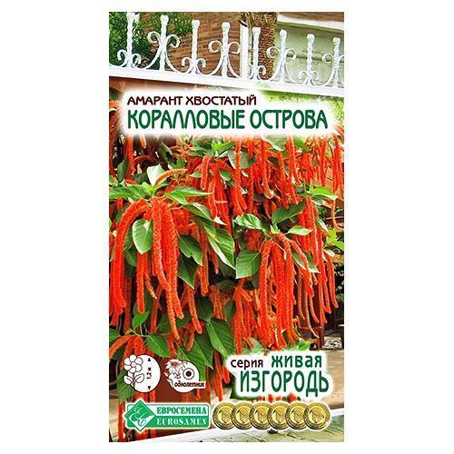 ������ ������ ������� ���������� ������� ����������   ����