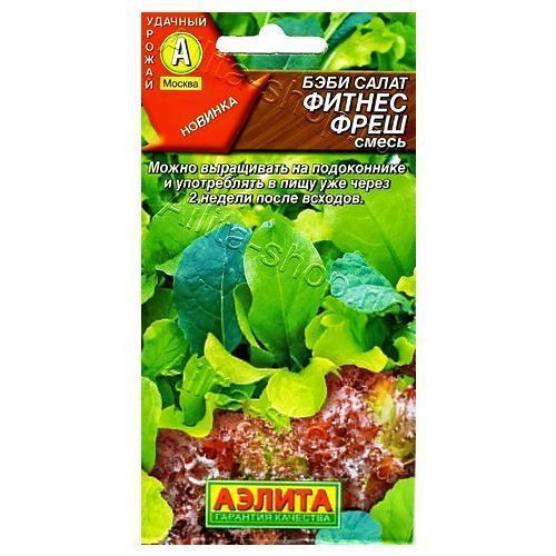 ������ ������ ���� ����� ������ ����, ����� ������ ������   ����