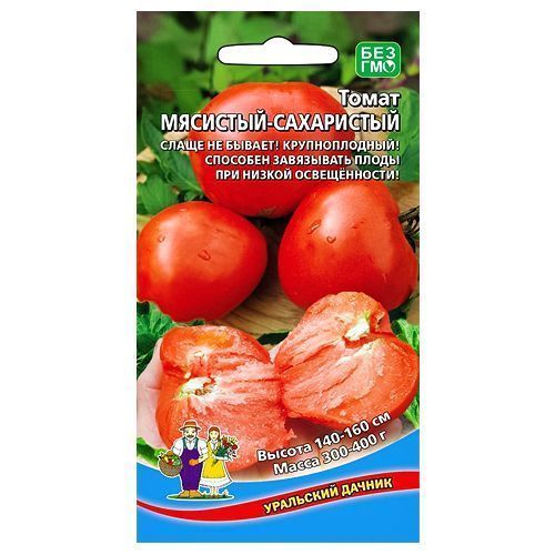 ������ ������ ����� ��������-���������� ��������� ������   ����