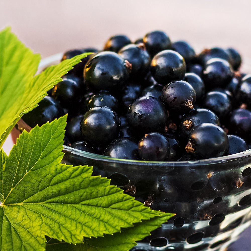 ������ ������ ��������� ������ ������� ��������   ����