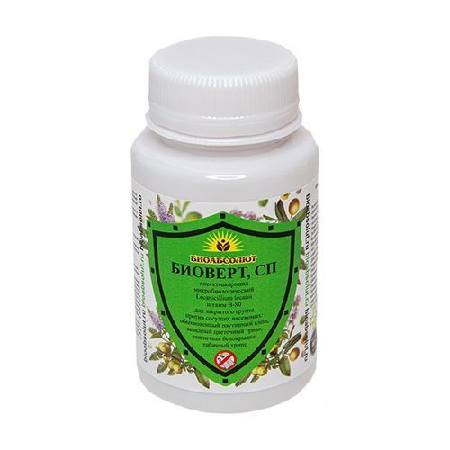 ������ ������ �������, ��������������� 80 �   ����