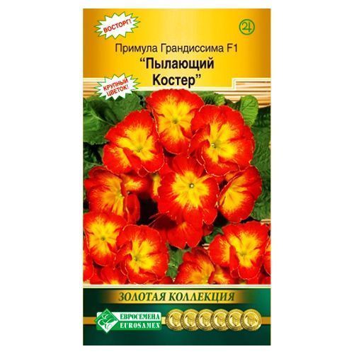 ������ ������ ������� ����������� F1 �������� ������ ����������   ����