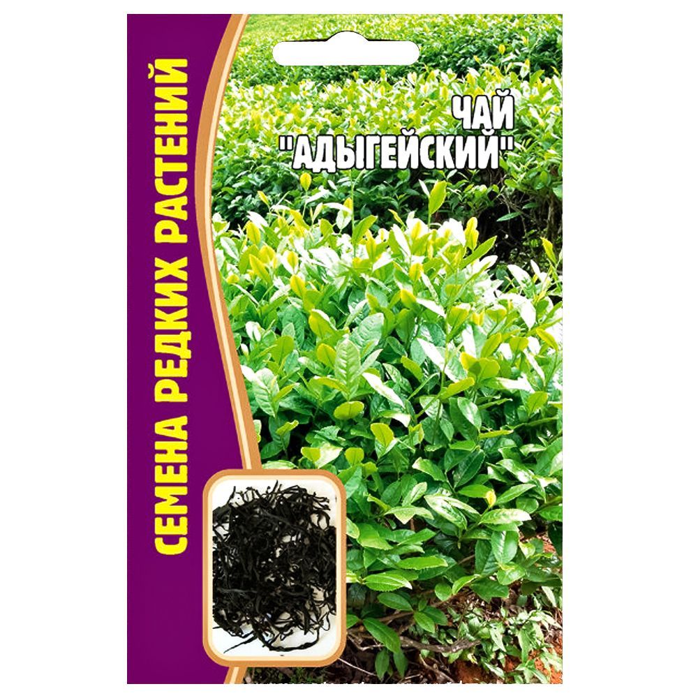 ������ ������ ��� ���������� ������ ������   ����