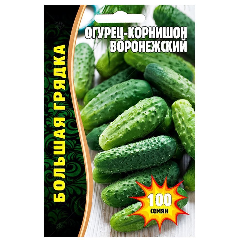 ������ ������ ������ ����������� ������ ������   ����