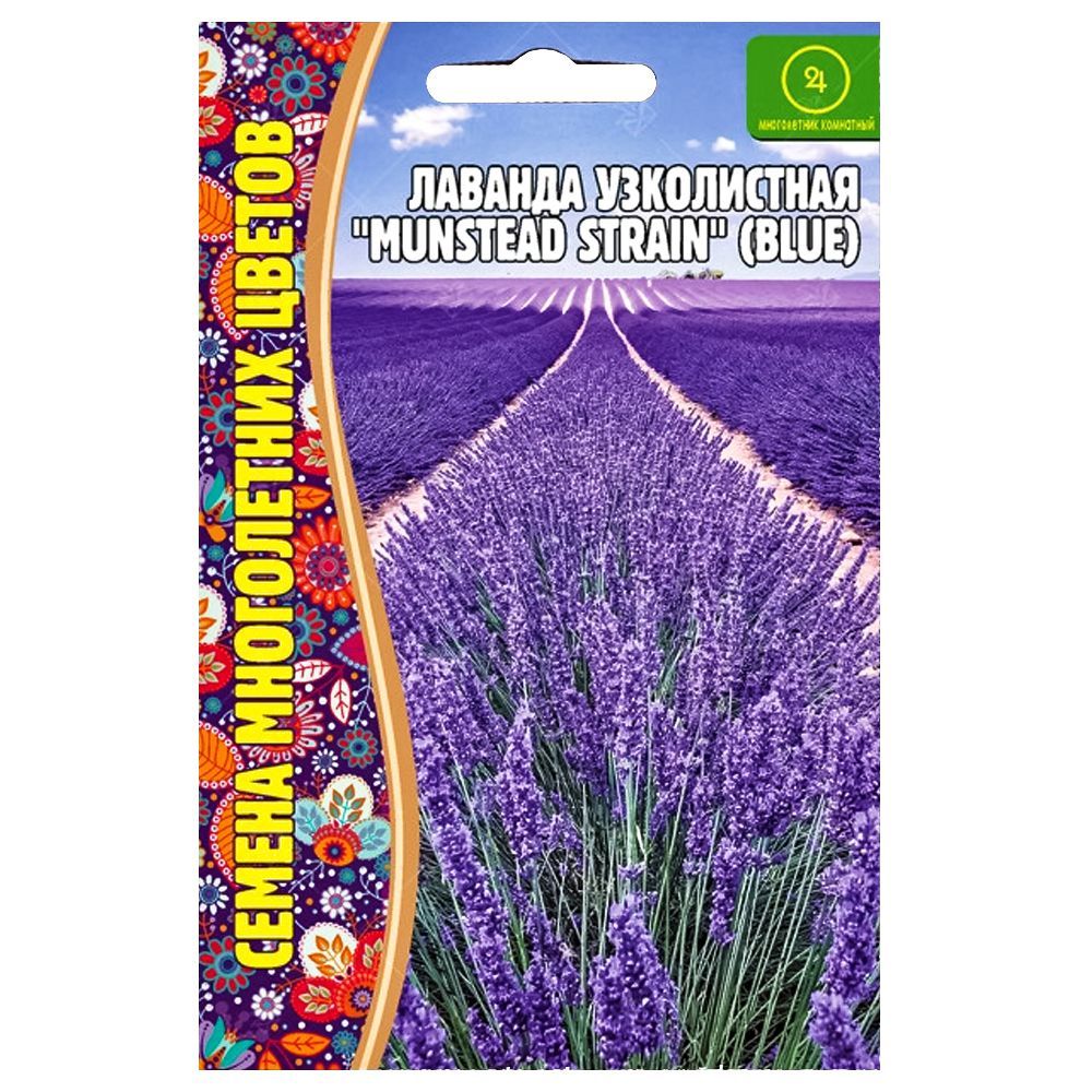 ������ ������ ������� ����������� Munstead Strain Blue ������ ������   ����