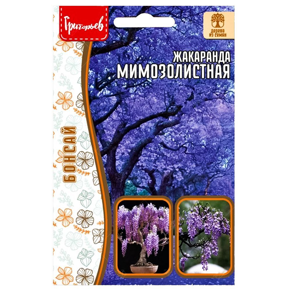 ������ ������ ��������� ������������� ������ ������   ����