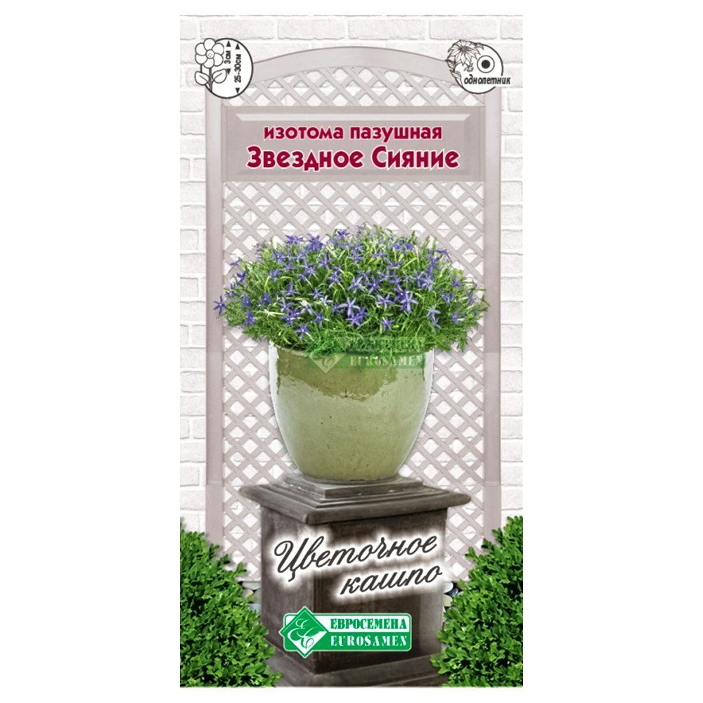 ������ ������ ������� �������� ������ ����������   ����