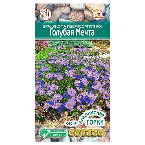 ������ ������ ��������� ������� ����� ����������   ����