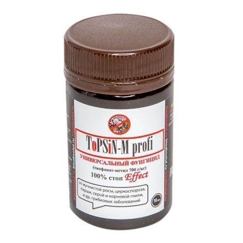 ������ ������ ������-� (ToPSiN-M profi), �������� �� �������� �������� 10 �   ����