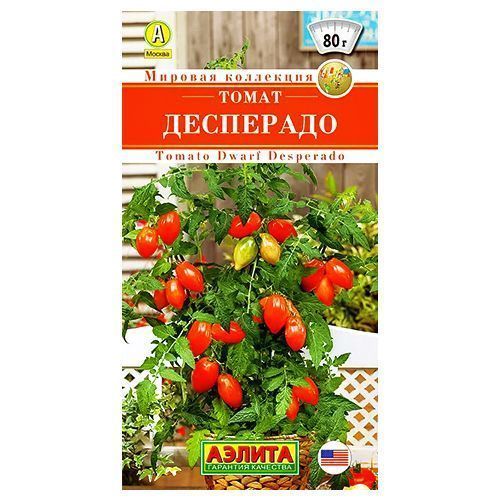 ������ ������ ����� ��������� ������   ����