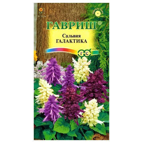 ������ ������ ������� ���������, ����� ������� ������   ����