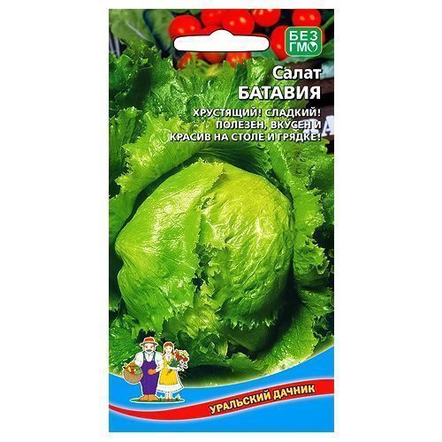 ������ ������ ����� ������� ��������� ������   ����