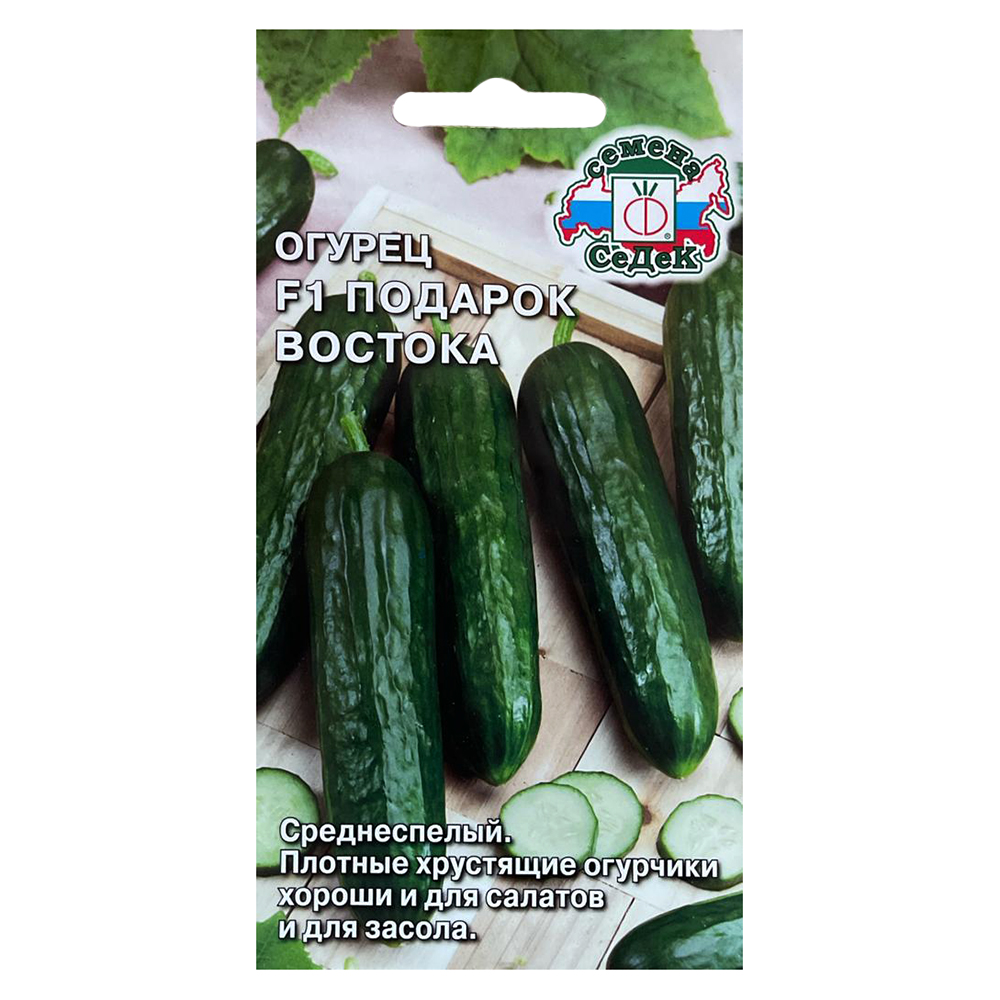 ������ ������ ������ ������� ������� F1 �����   ����