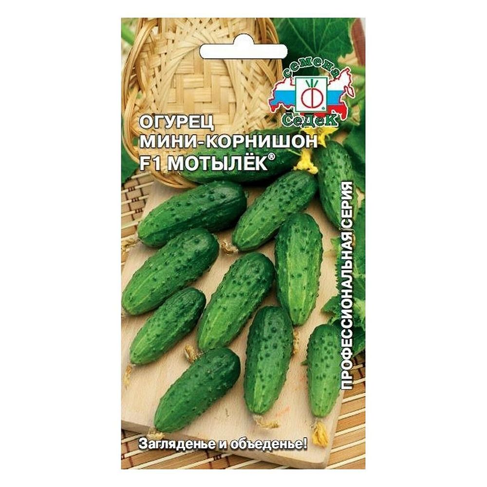 ������ ������ ������ ������� F1 �����   ����