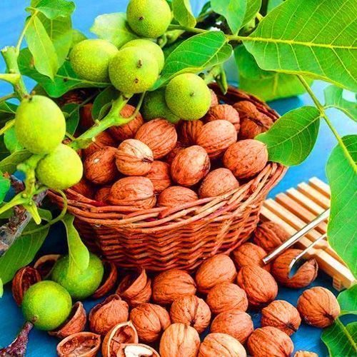 ������ ������ ���� ������� �������   ����