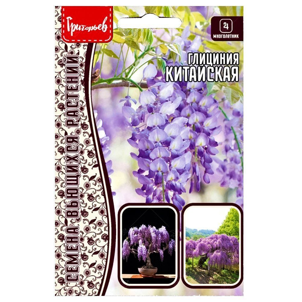 ������ ������ �������� ��������� ������ ������   ����