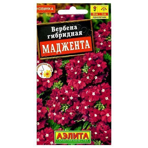 ������ ������ ������� �������� ������   ����