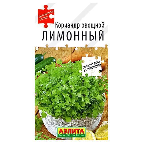 ������ ������ �������� (�����) �������� ������   ����