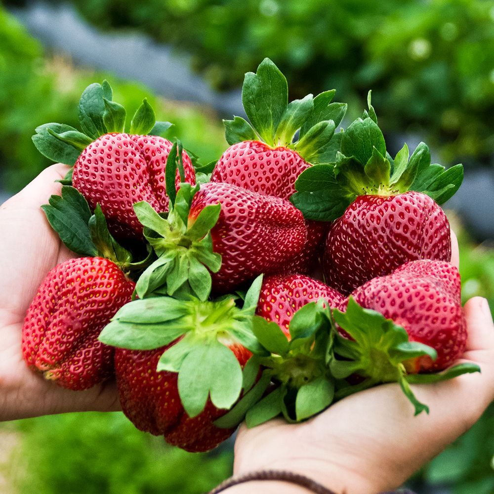 ������ ������ ��������� ������������� �� ������ ������� ����� ���������   ����