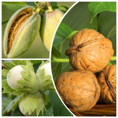 ������ ������ �����������! �������� ������ 