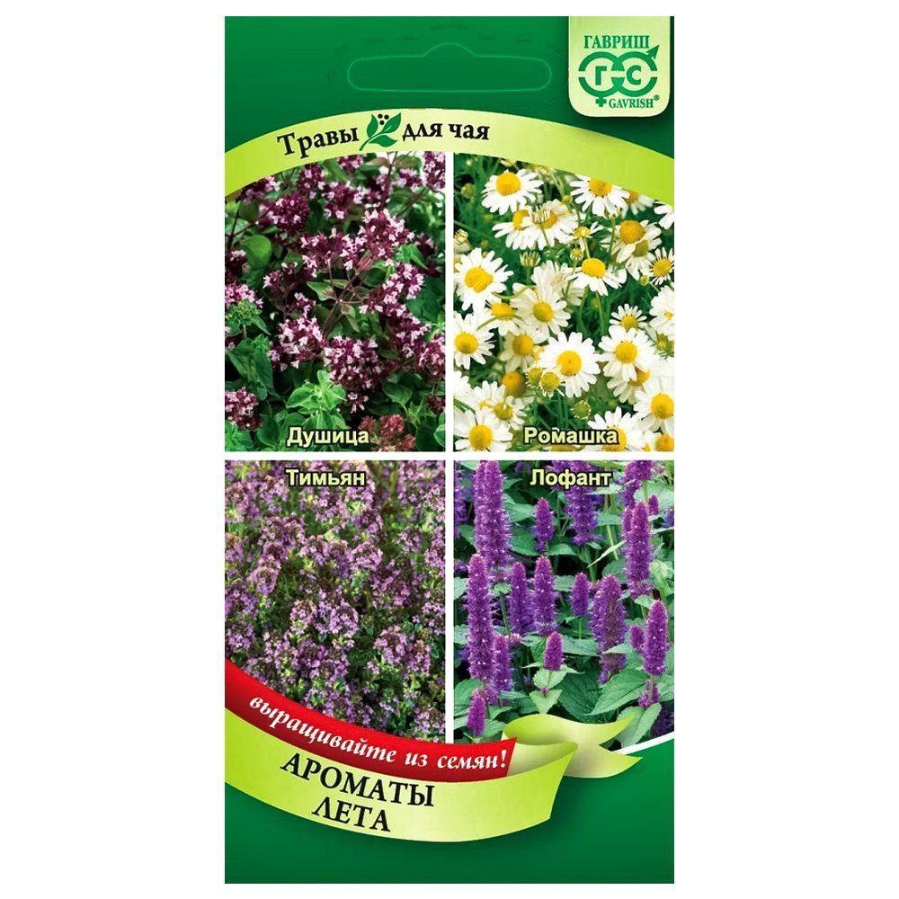 ������ ������ ����� ��� ��� ������� ���� ������   ����