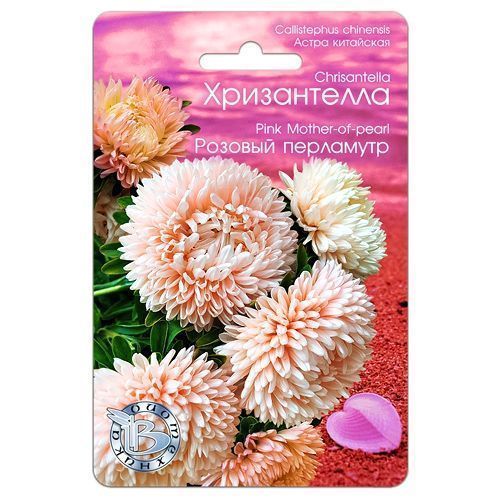 ������ ������ ����� ��������� ����������� ������� ��������� ����������   ����