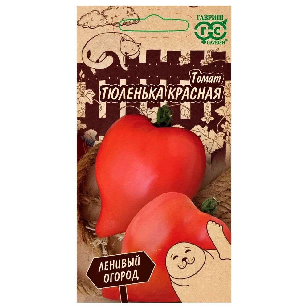 ������ ������ ����� �������� ������� ������   ����