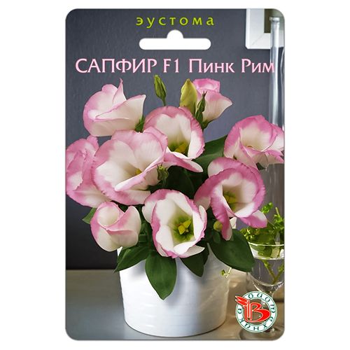 ������ ������ ������� ��������� ������ F1 ���� ��� ����������   ����