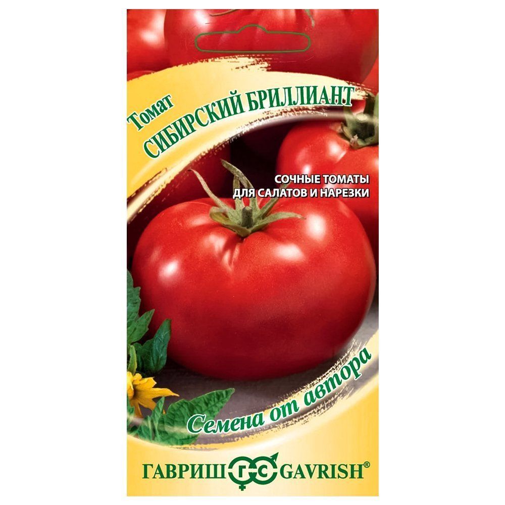 ������ ������ ����� ��������� ��������� ������   ����