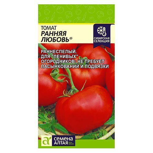 ������ ������ ����� ������ ������ ������ �����   ����