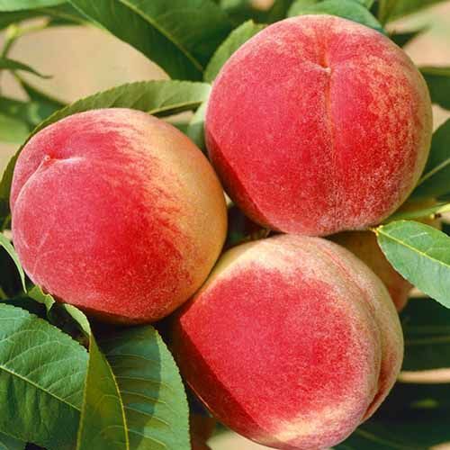 ������ ������ ������ ���������   ����