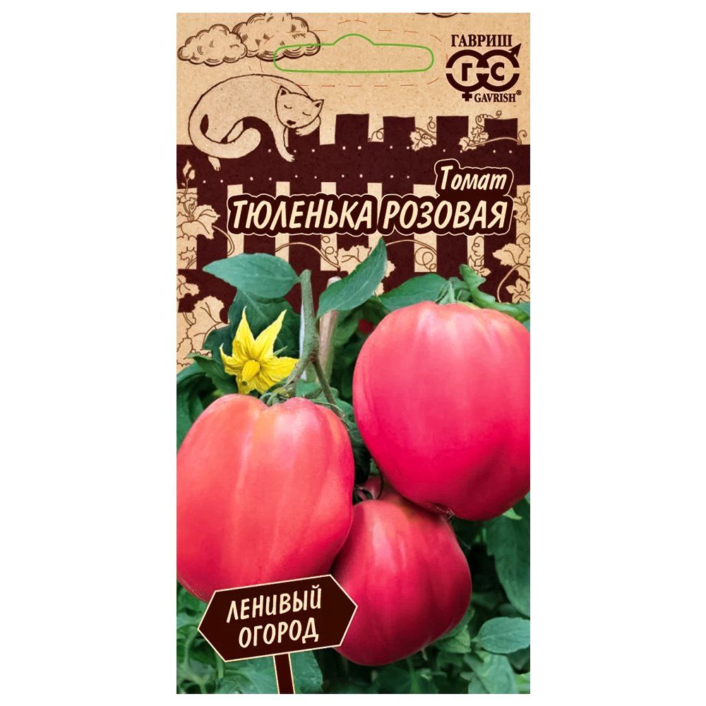 ������ ������ ����� �������� ������� ������   ����