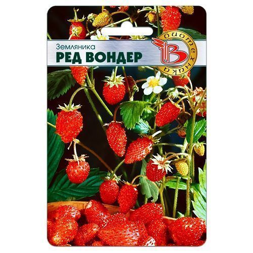 ������ ������ ��������� ������������ ��� ������ ����������   ����