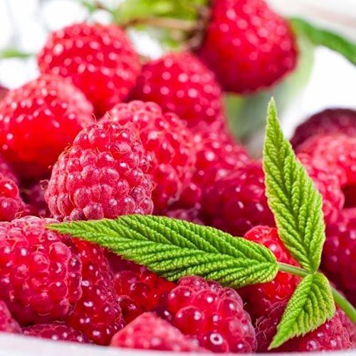 ������ ������ ������ ������������� �������   ����