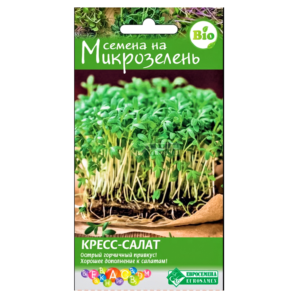 ������ ������ ����������� �����-����� ����������   ����