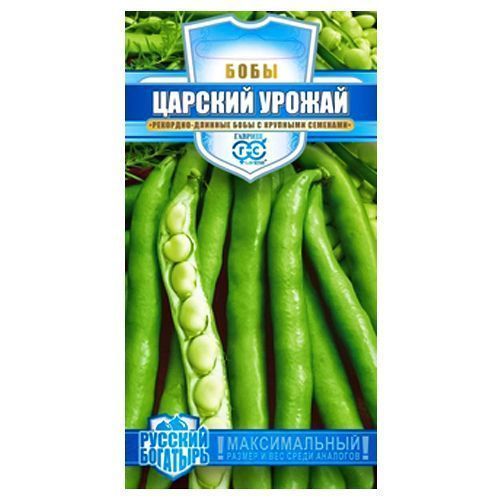 ������ ������ ���� ������� ������ ������   ����