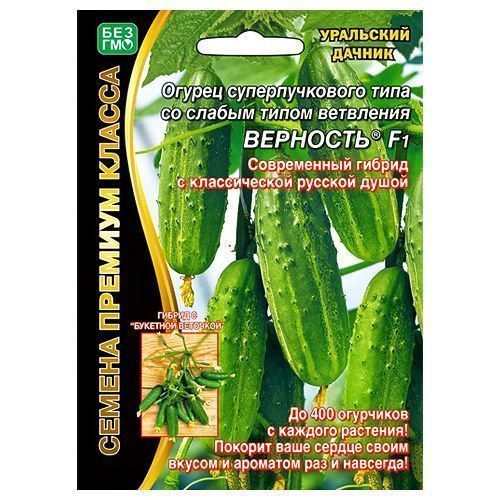 ������ ������ ������ �������������� ���� �������� F1 ��������� ������   ����