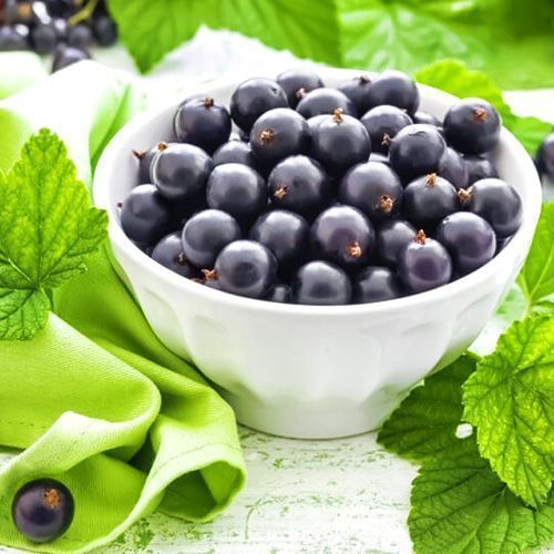 ������ ������ ��������� ������ ������ ���������   ����