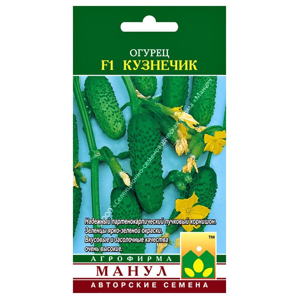 ������ ������ ������ �������� F1 �����   ����