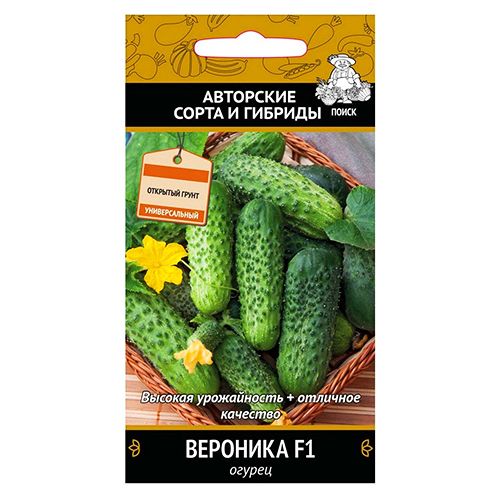 ������ ������ ������ �������� F1 �����   ����