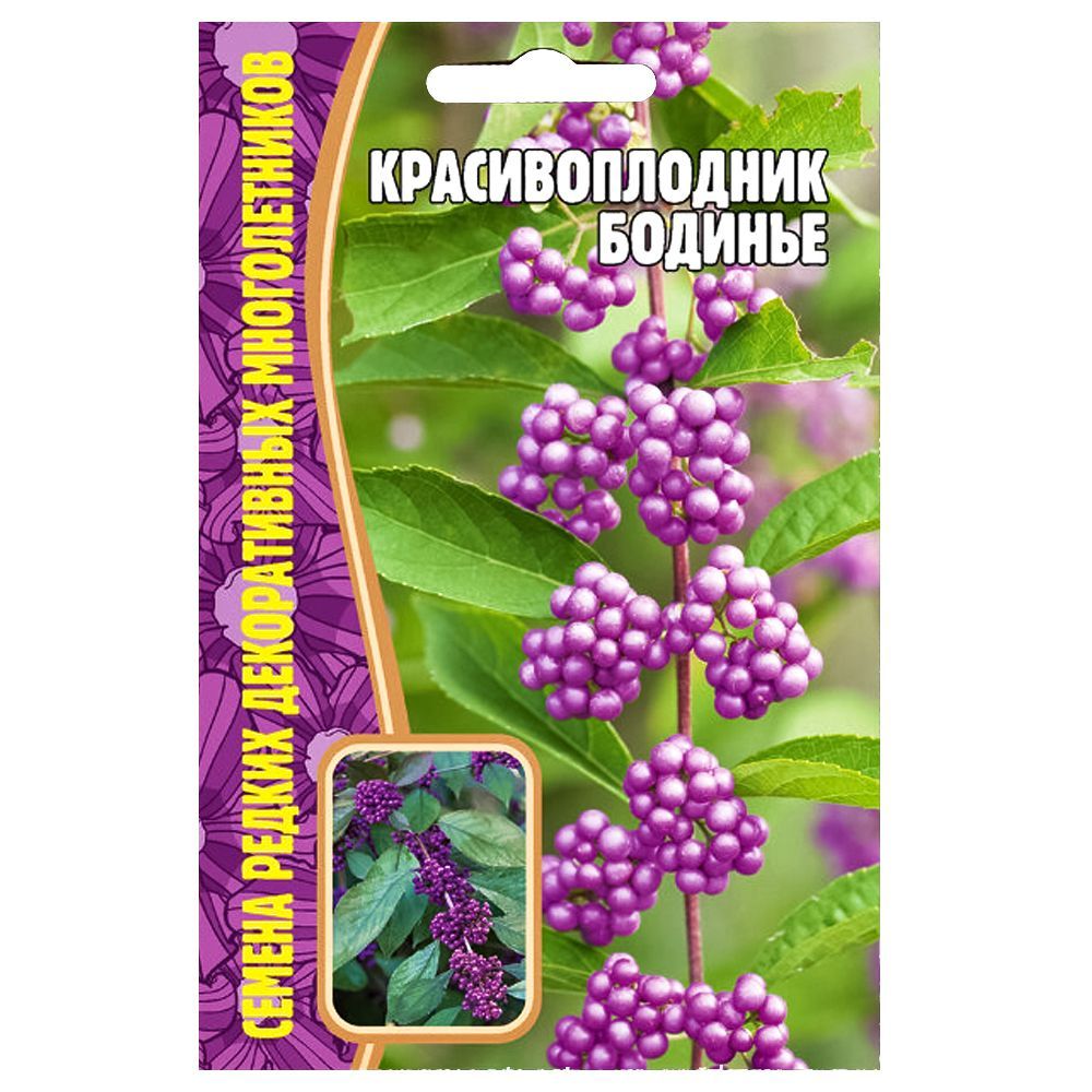 ������ ������ �������������� ������� ������ ������   ����