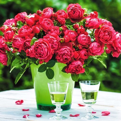 ������ ������ ���� ���� ����   ����