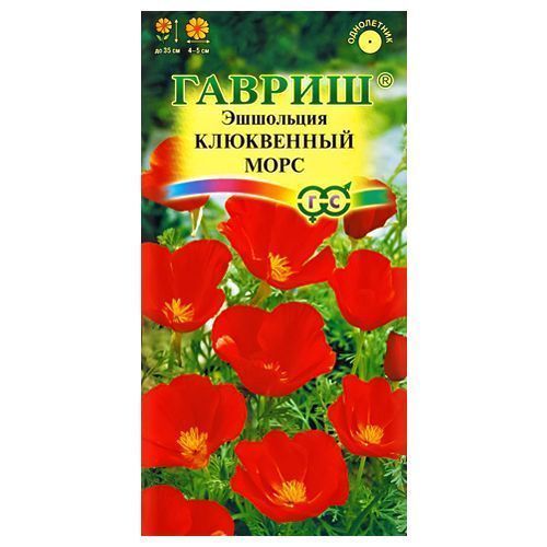 ������ ������ ��������� ���������� ���� ������   ����