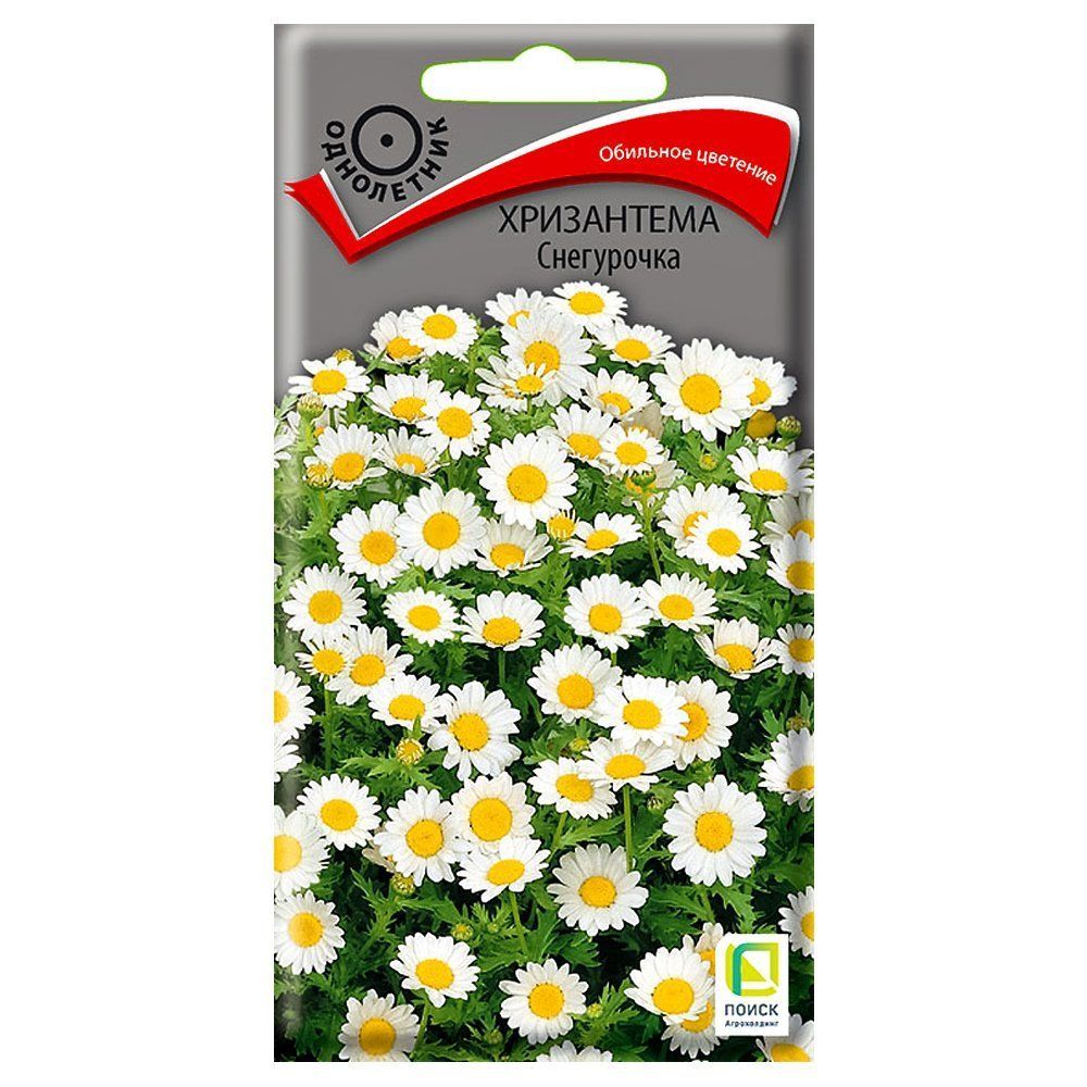 ������ ������ ���������� ���������� �����   ����