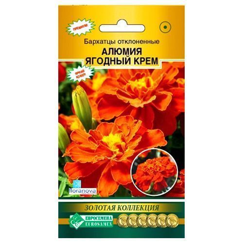 ������ ������ �������� ����������� ������ ������� ���� ����������   ����