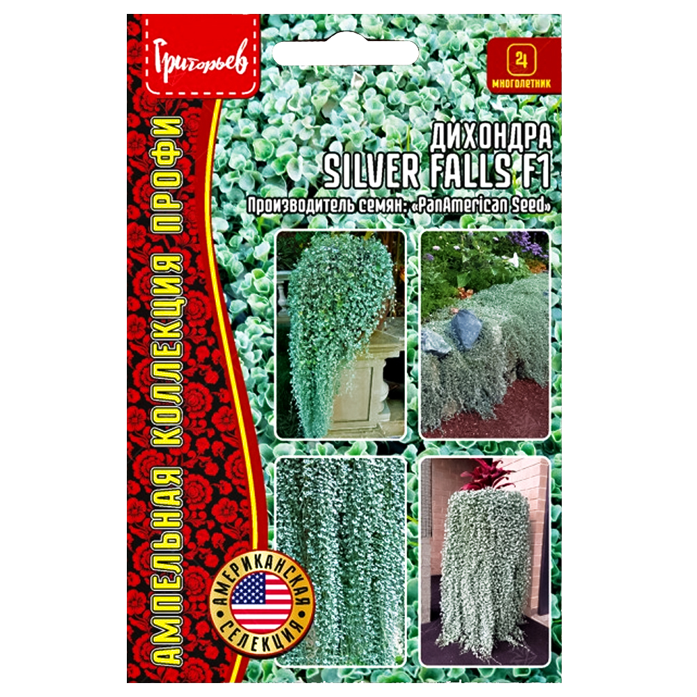 ������ ������ �������� Silver Falls F1 ������ ������   ����