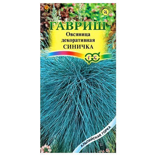 ������ ������ �������� ������� ������   ����