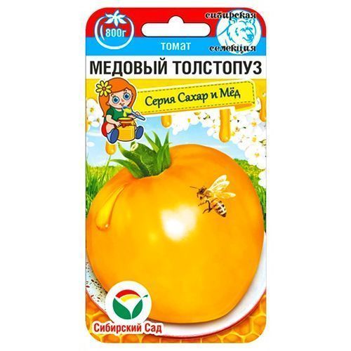 ������ ������ ����� ������� ��������� ��������� ���   ����