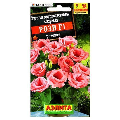 ������ ������ ������� �������� ���� ������� F1 ������   ����