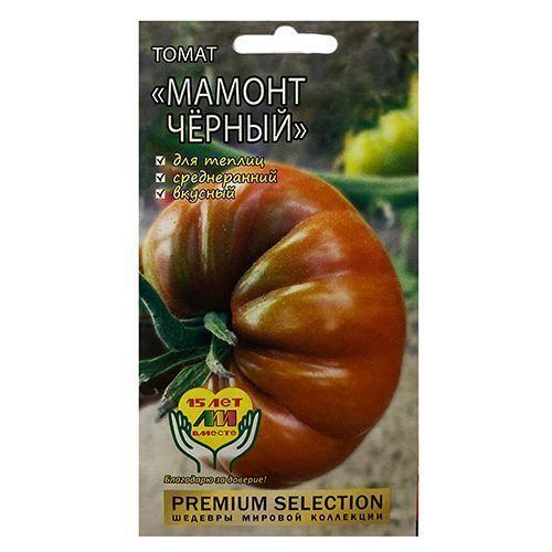 ������ ������ ����� ������ ������ ����������� ������ �.�.   ����